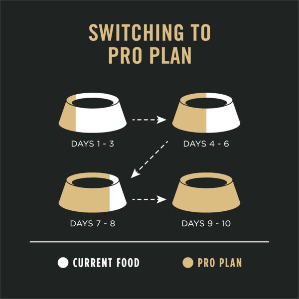Purina Pro Plan Sensitive Skin and Stomach Dog Food Dry, Adult Salmon & Rice Formula, Digestive Health - 40 lb. Bag - Image 2