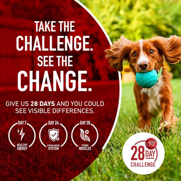 Purina ONE Dry Dog Food Lamb and Rice Formula - 31.1 lb. Bag - Image 10