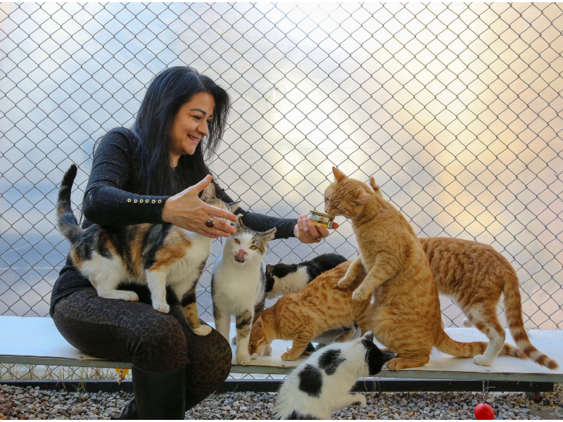 The Benefits of Adopting a Pet: Why You Should Choose Rescue