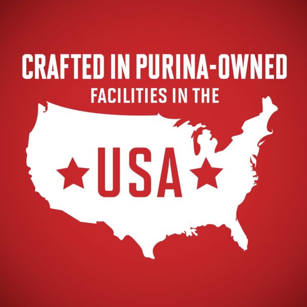 Purina ONE Natural, Sensitive Stomach Dry Dog Food, +Plus Skin & Coat Formula - 31.1 lb. Bag - Image 12