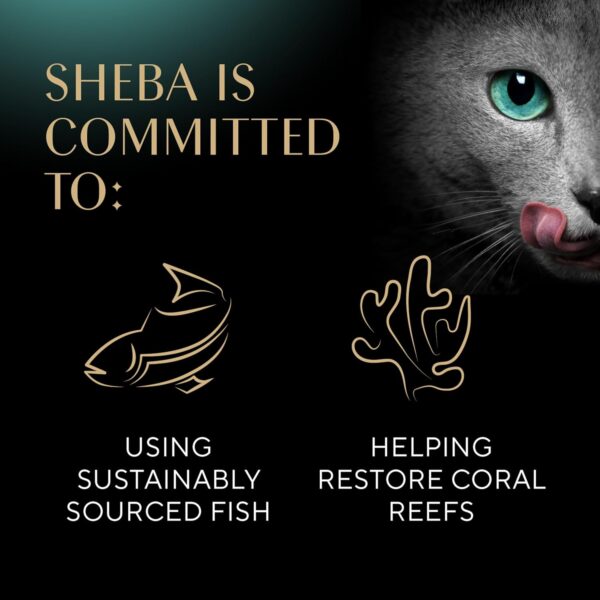 Sheba Perfect Portions Wet Cat Food Pate With Sustainable Salmon, Signature Seafood Entree, and Tender White Fish and Tuna Entree Variety Pack, 2.6 oz. Twin Pack Trays (24 Count, 48 Servings) - Image 7