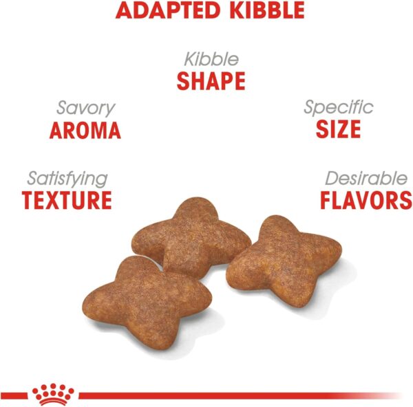 Royal Canin Small Breed Adult Dry Dog Food, 14 lb bag - Image 2