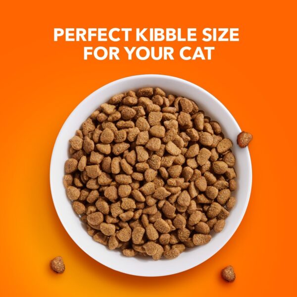 IAMS PROACTIVE HEALTH Adult Indoor Weight Control & Hairball Care Dry Cat Food with Chicken & Turkey Cat Kibble, 7 lb. Bag - Image 11
