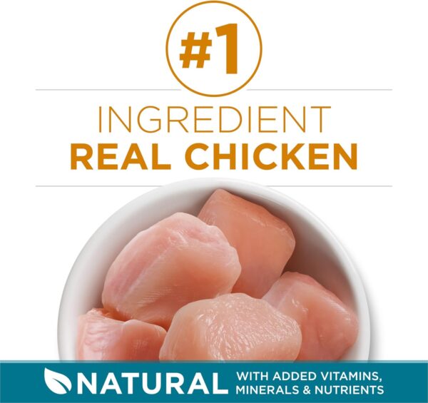 Purina ONE Natural Dry Cat Food, Tender Selects Blend With Real Chicken - 22 lb. Bag - Image 2