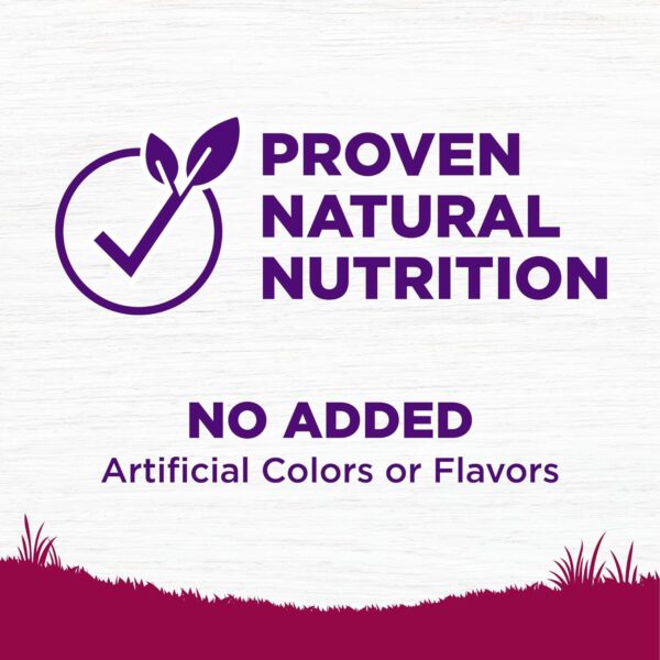 Wellness Complete Health Small Breed Adult Dry Dog Food with Grains and Real Turkey, Natural Ingredients, Omega Fatty Acids, and Probiotics, Made in USA (12-Pound Bag)” - Image 5