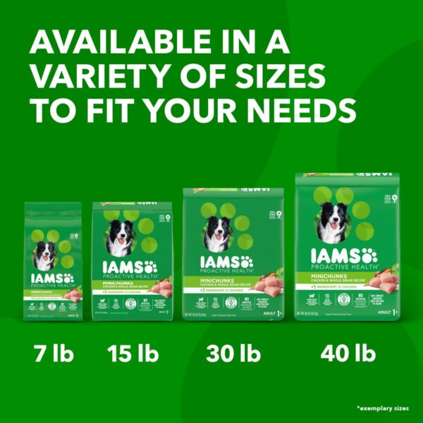 IAMS Proactive Health Minichunks Adult Dry Dog Food with Real Chicken, 30 lb. Bag - Image 14