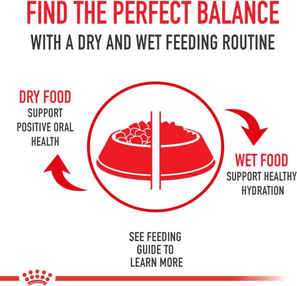 Royal Canin Yorkshire Terrier Adult Dry Dog Food, 10 lb bag - Image 5