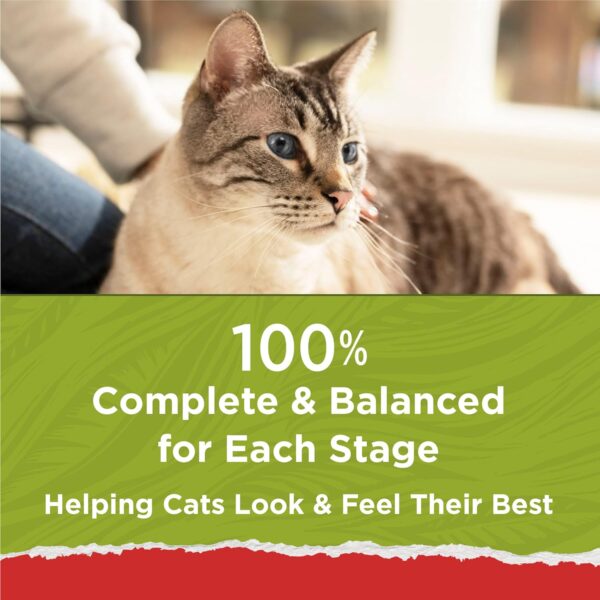 Purina Cat Chow Naturals With Added Vitamins, Minerals and Nutrients Dry Cat Food, Naturals Original - 13 lb. Bag - Image 7