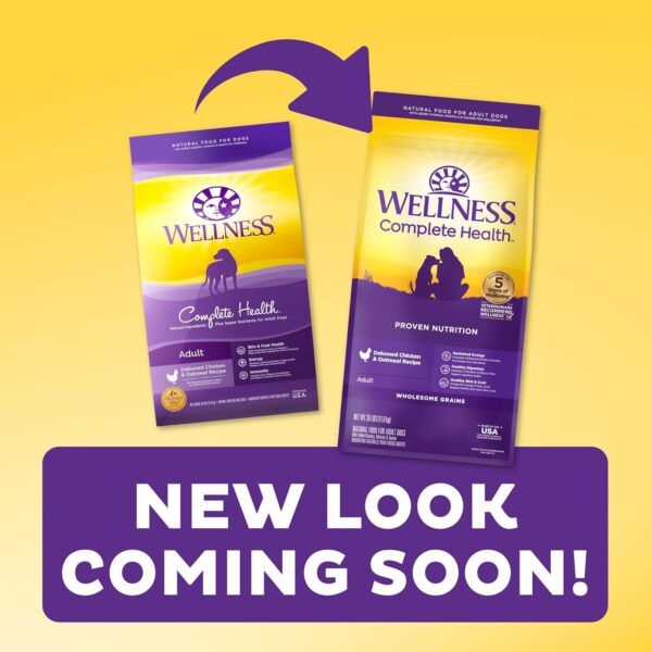 Wellness Complete Health Dry Dog Food with Grains, Made in USA with Real Meat & Natural Ingredients, All Breeds, Adult Dogs (Chicken & Oatmeal, 30-lb) – With Nutrients for Immune, Skin, & Coat Support - Image 3