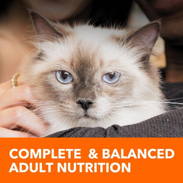 IAMS PROACTIVE HEALTH Adult Indoor Weight Control & Hairball Care Dry Cat Food with Chicken & Turkey Cat Kibble, 7 lb. Bag - Image 10