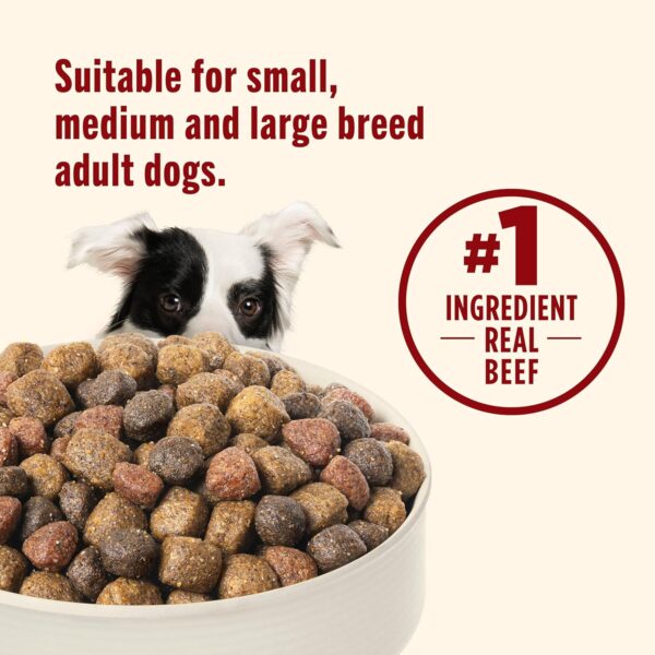 Nutrish Real Beef, Pea & Brown Rice Recipe Whole Health Blend Dry Dog Food, 40 lb. Bag, Packaging May Vary (Rachael Ray) - Image 6