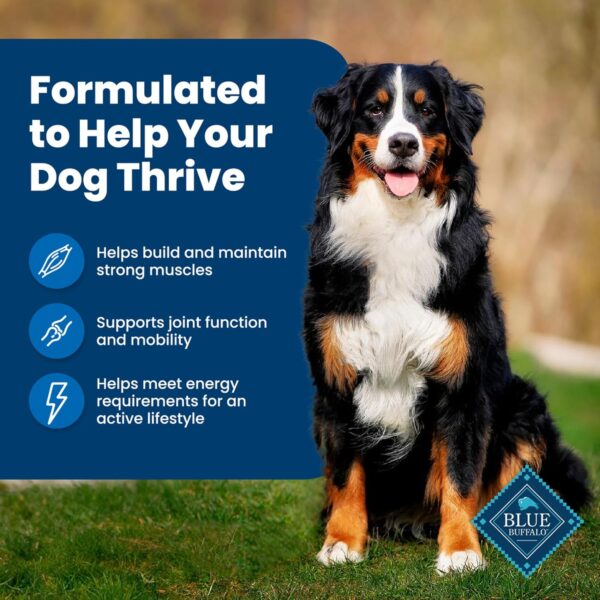 Blue Buffalo Life Protection Formula Adult Dry Dog Food, Helps Build and Maintain Strong Muscles, Made with Natural Ingredients, Chicken & Brown Rice Recipe, 15-lb. Bag - Image 4