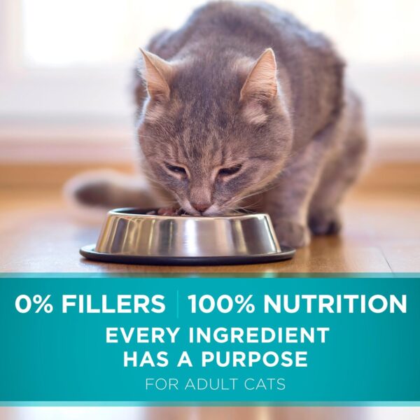 Purina ONE Natural Dry Cat Food, Tender Selects Blend With Real Chicken - 22 lb. Bag - Image 10