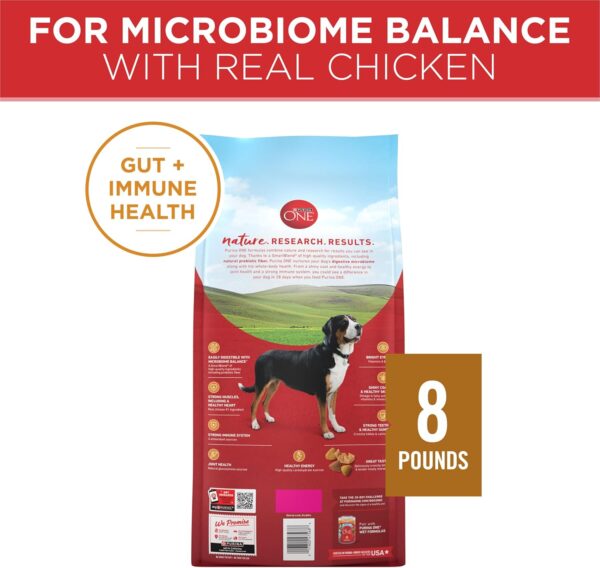 Purina ONE Chicken and Rice Formula Dry Dog Food - 8 lb. Bag - Image 5