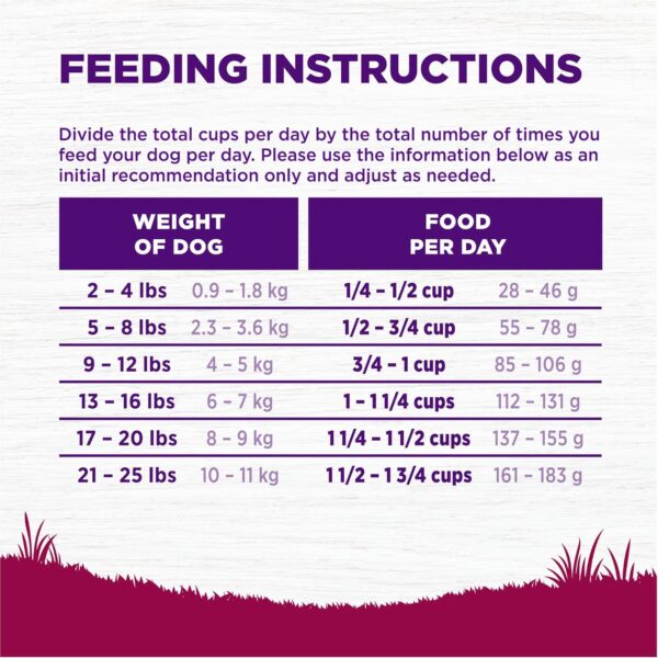 Wellness Complete Health Small Breed Adult Dry Dog Food with Grains and Real Turkey, Natural Ingredients, Omega Fatty Acids, and Probiotics, Made in USA (12-Pound Bag)” - Image 8