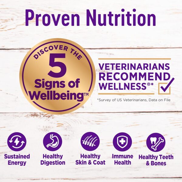 Wellness Complete Health Dry Dog Food with Grains, Made in USA with Real Meat & Natural Ingredients, All Breeds, Adult Dogs (Chicken & Oatmeal, 30-lb) – With Nutrients for Immune, Skin, & Coat Support - Image 2