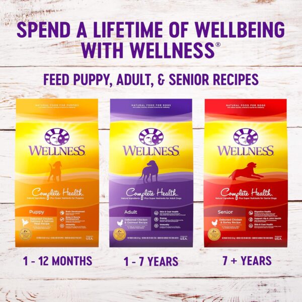 Wellness Complete Health Dry Dog Food with Grains, Made in USA with Real Meat & Natural Ingredients, All Breeds, Adult Dogs (Chicken & Oatmeal, 30-lb) – With Nutrients for Immune, Skin, & Coat Support - Image 8
