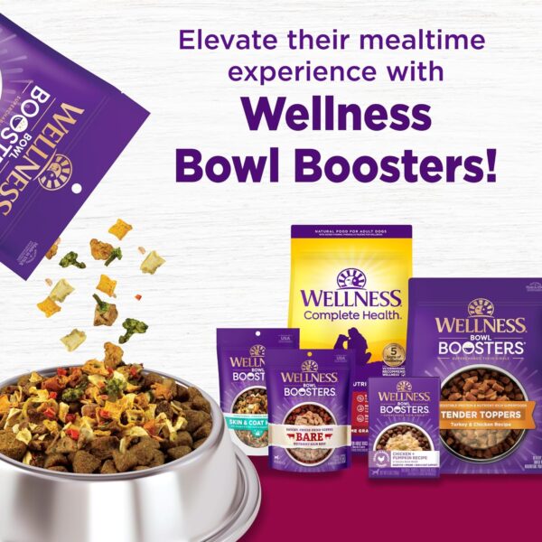 Wellness Complete Health Small Breed Adult Dry Dog Food with Grains and Real Turkey, Natural Ingredients, Omega Fatty Acids, and Probiotics, Made in USA (12-Pound Bag)” - Image 9