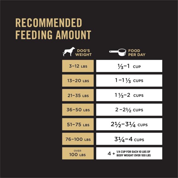 Purina Pro Plan Sensitive Skin and Stomach Dog Food Dry, Adult Salmon & Rice Formula, Digestive Health - 16 lb. Bag - Image 9