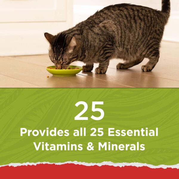 Purina Cat Chow Naturals With Added Vitamins, Minerals and Nutrients Dry Cat Food, Naturals Original - 13 lb. Bag - Image 4