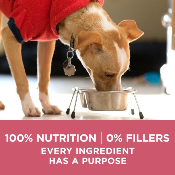 Purina ONE Natural, Sensitive Stomach Dry Dog Food, +Plus Skin & Coat Formula - 31.1 lb. Bag - Image 8