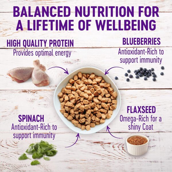 Wellness Complete Health Dry Dog Food with Grains, Made in USA with Real Meat & Natural Ingredients, All Breeds, Adult Dogs (Chicken & Oatmeal, 30-lb) – With Nutrients for Immune, Skin, & Coat Support - Image 4