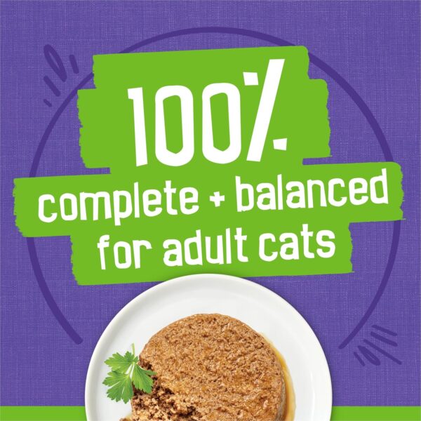 Purina Friskies Pate Wet Cat Food Variety Pack Seafood and Chicken Pate Favorites 40ct VP - (Pack of 40) 5.5 oz. Cans - Image 4